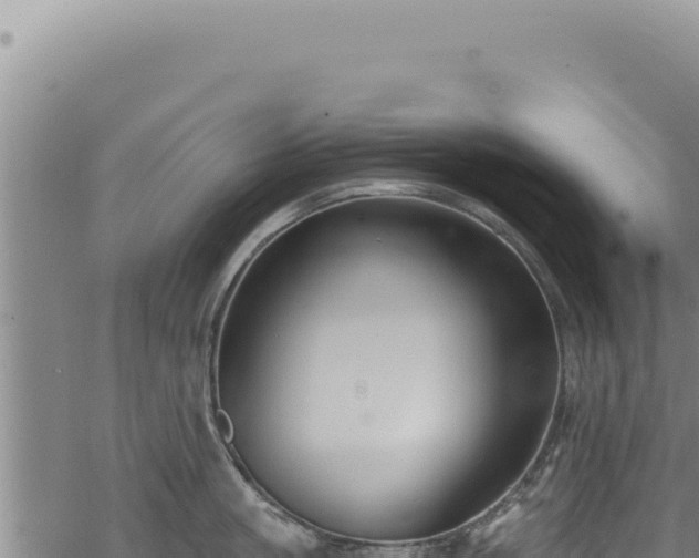 X0000068840861200605121405