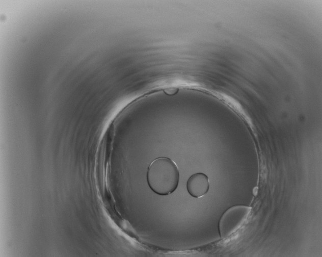 X0000068840863200605121405