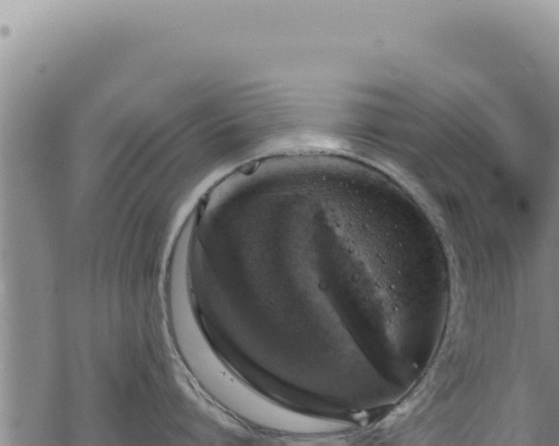 X0000068840864200605121405