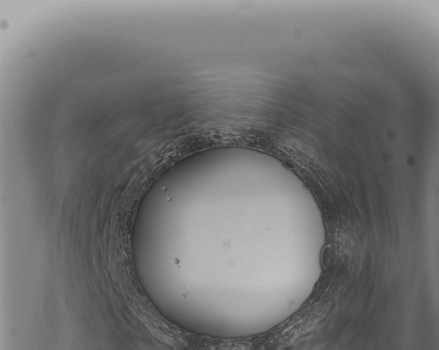 X0000068840865200605121404