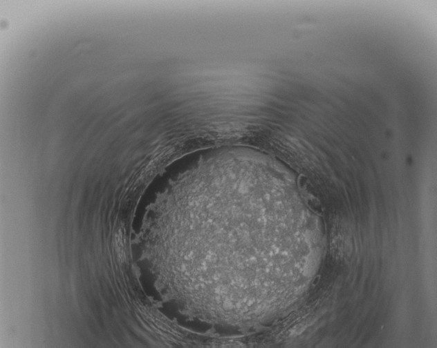 X0000068840866200605121404