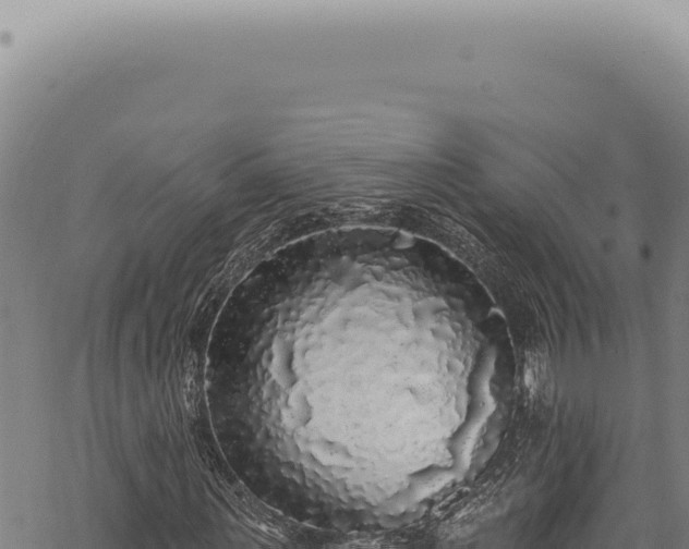 X0000068840867200605121404