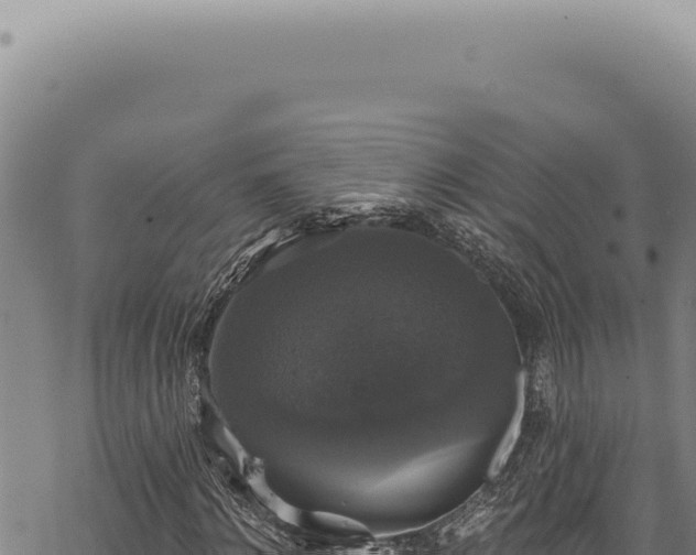 X0000068840868200605121404