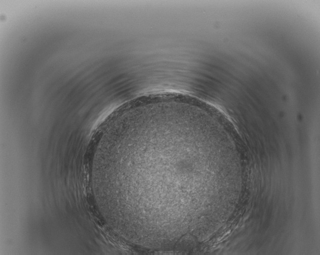 X0000068840871200605121404