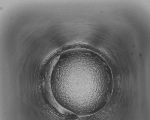 X0000068840872200605121404