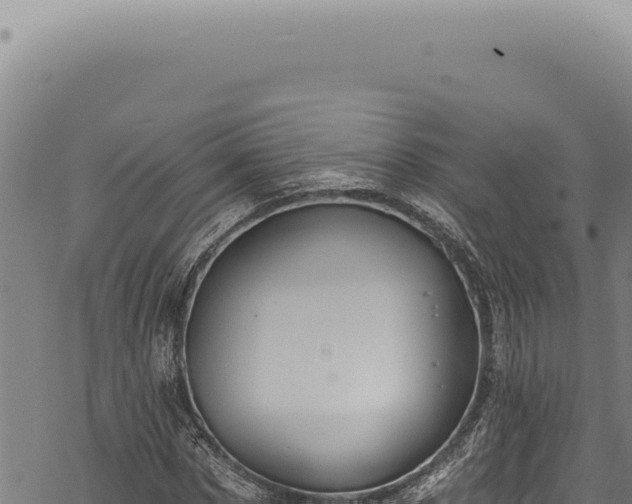 X0000068840873200605121404