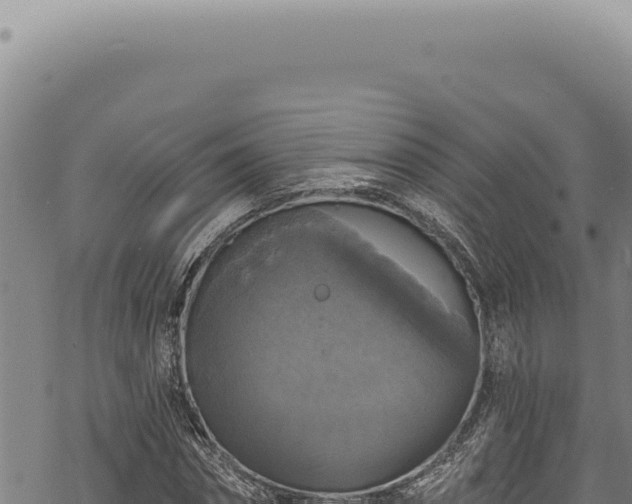 X0000068840874200605121404