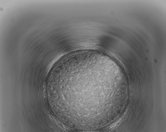 X0000068840875200605121404