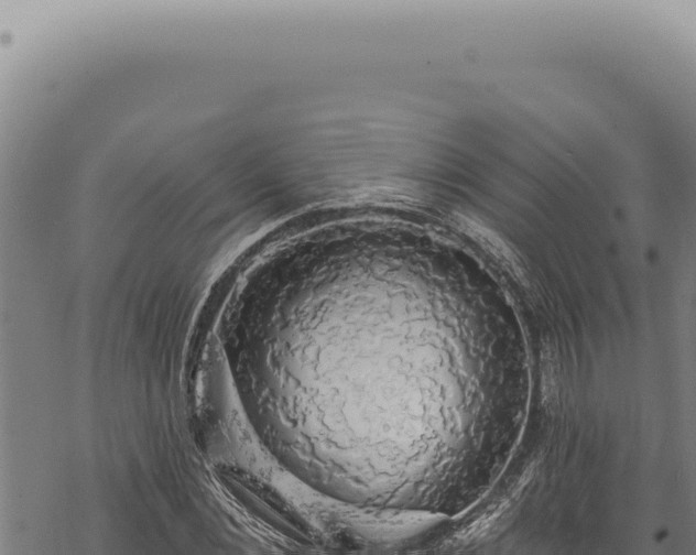 X0000068840876200605121404