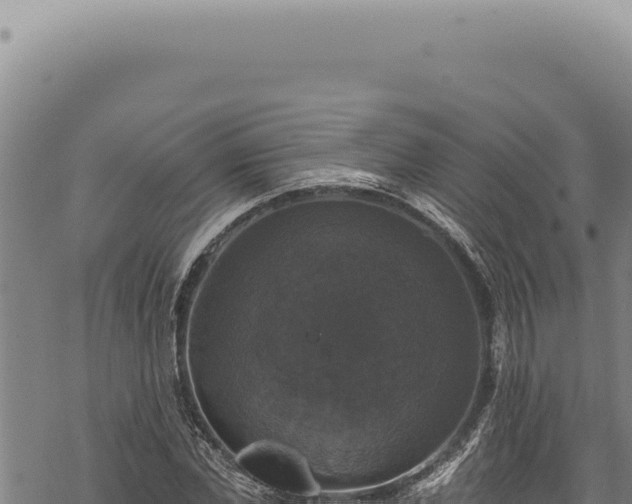 X0000068840877200605121404