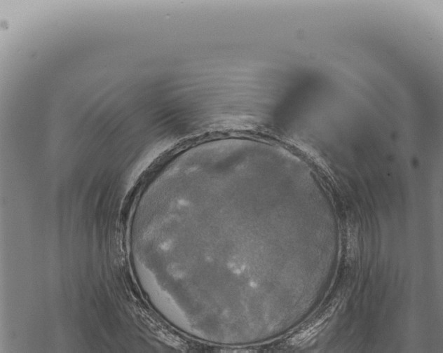 X0000068840878200605121404