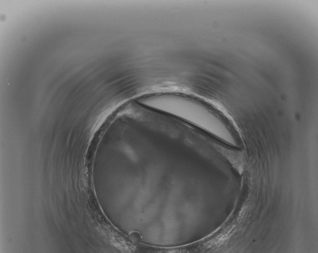 X0000068840879200605121404