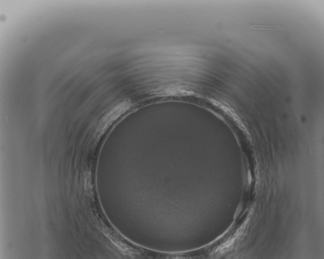 X0000068840881200605121404