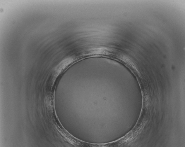 X0000068840882200605121404