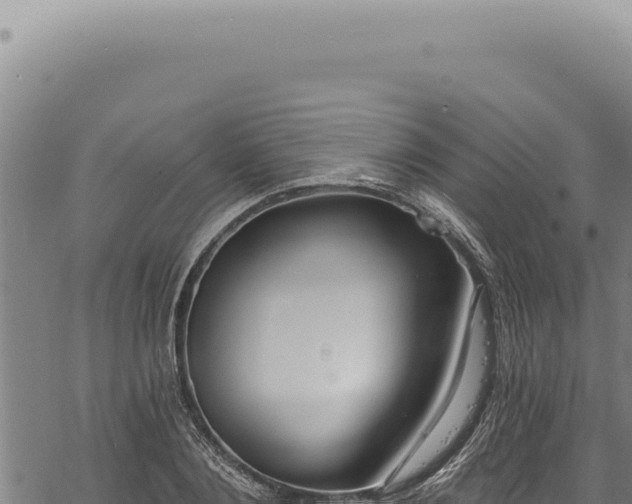 X0000068840884200605121404