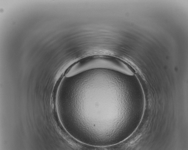 X0000068840885200605121404