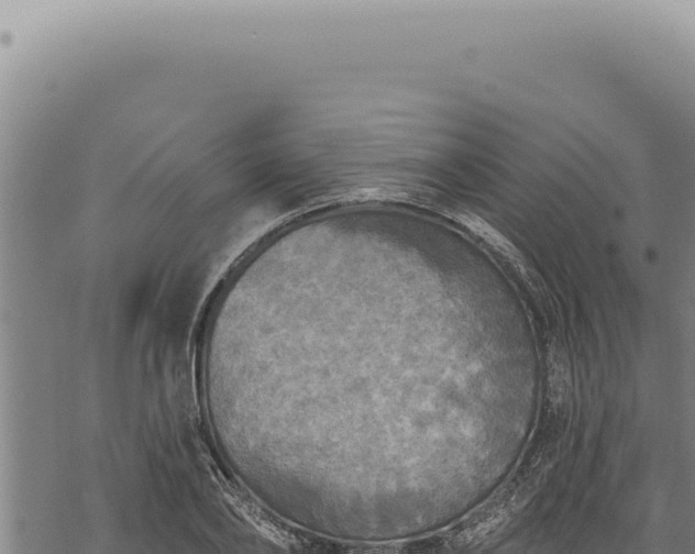 X0000068840886200605121404