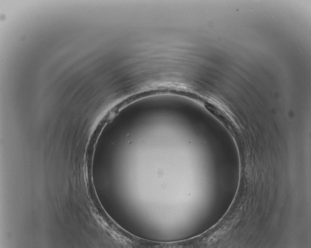 X0000068840888200605121404