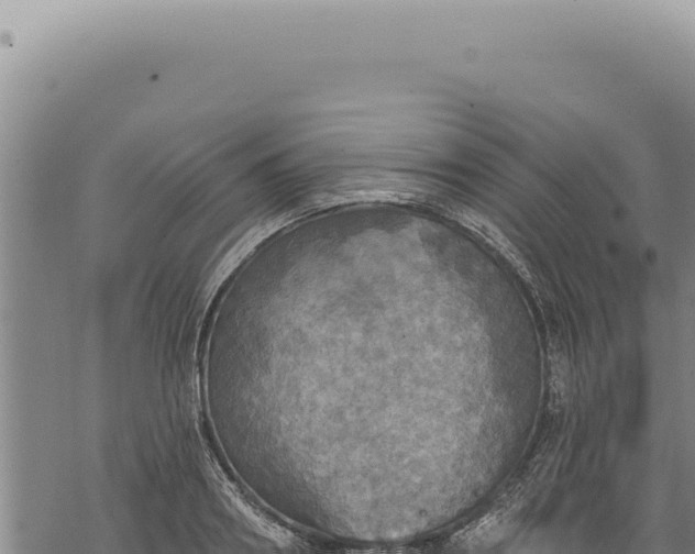 X0000068840890200605121404