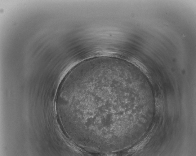 X0000068840891200605121404