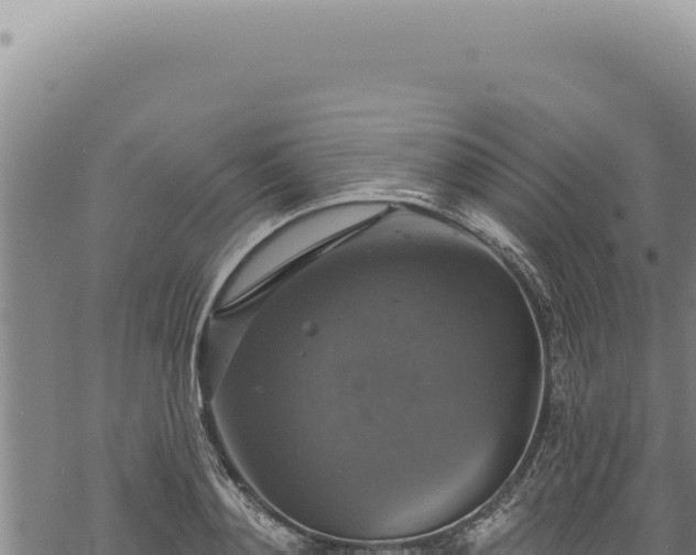 X0000068840892200605121404