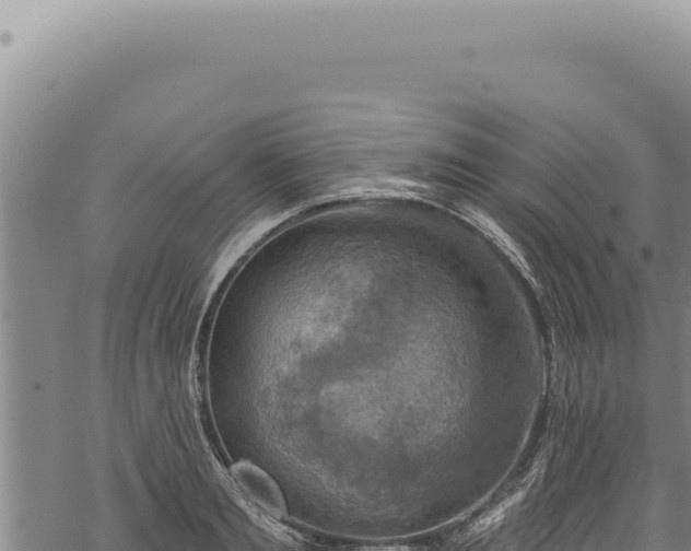 X0000068840893200605121404