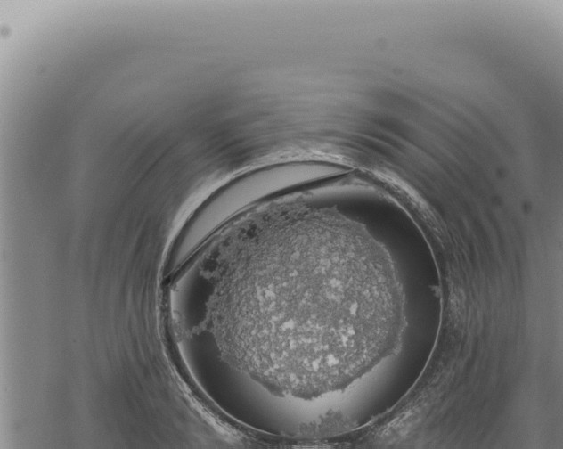 X0000068840894200605121404