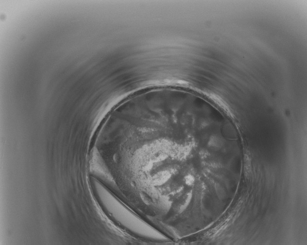 X0000068840895200605121404