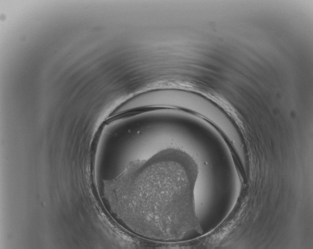 X0000068840896200605121404