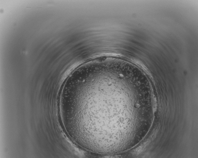 X0000068840898200605121403