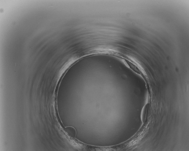 X0000068840899200605121403