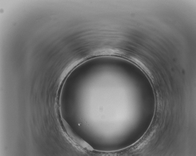 X0000068840901200605121403