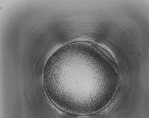 X0000068840902200605121403