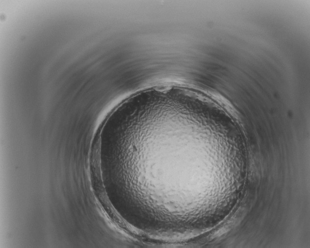 X0000068840904200605121403