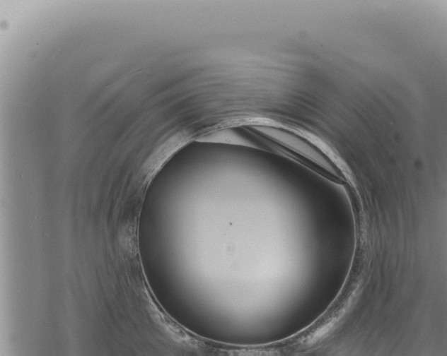 X0000068840905200605121403