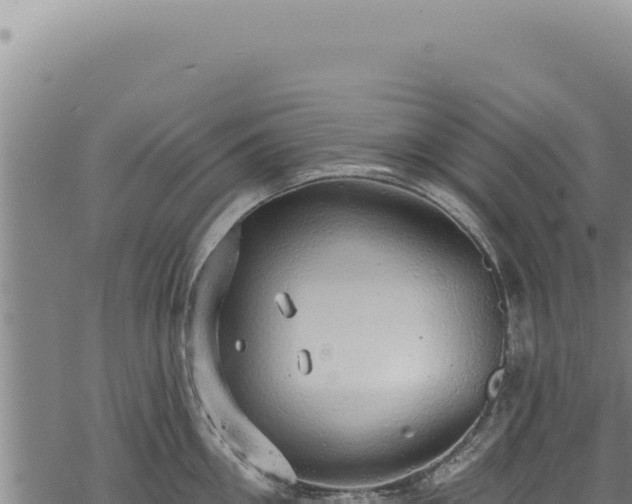 X0000068840906200605121403