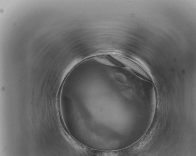 X0000068840907200605121403