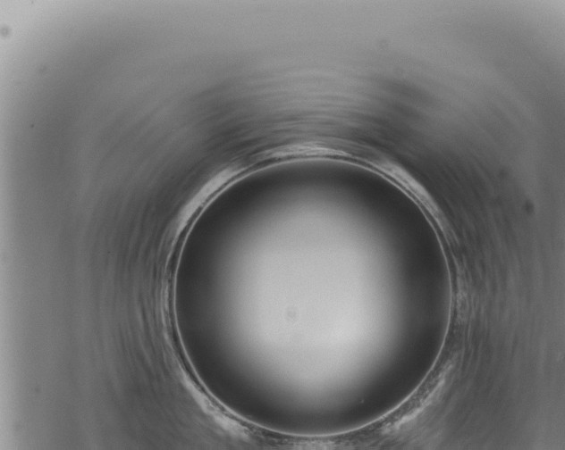 X0000068840909200605121403