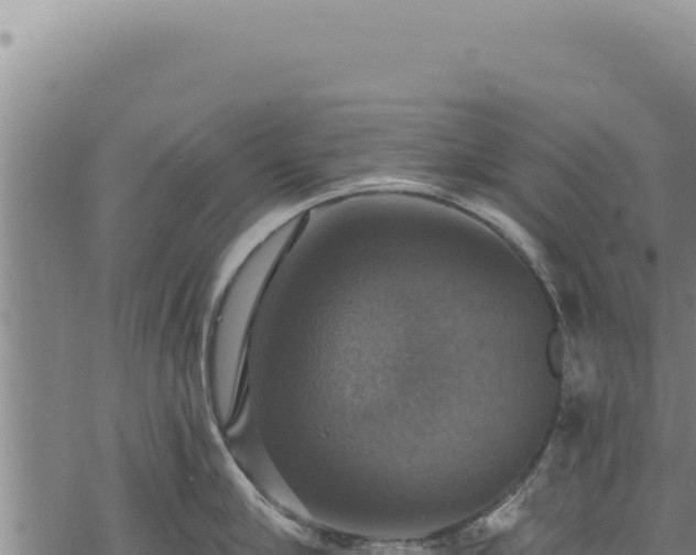 X0000068840910200605121403