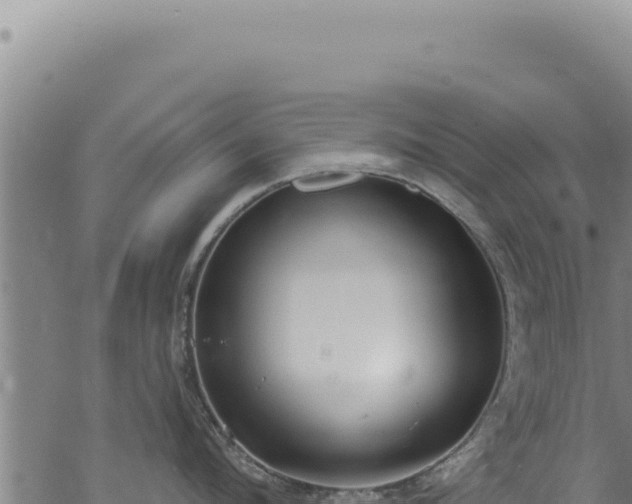 X0000068840912200605121403