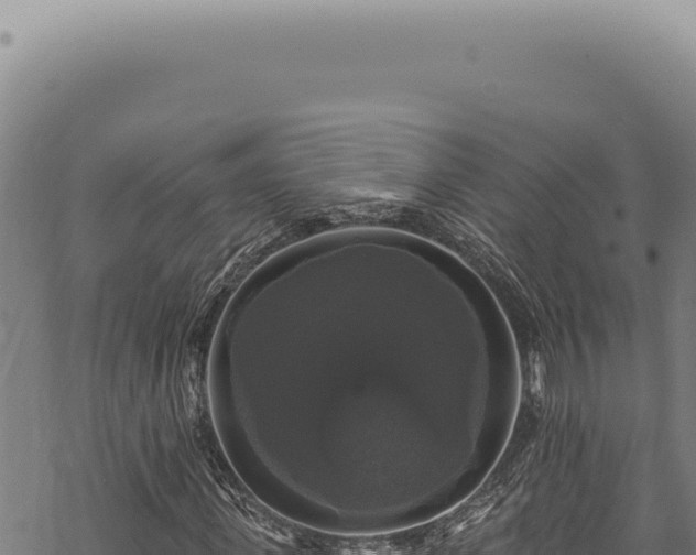 X0000068840915200605121402