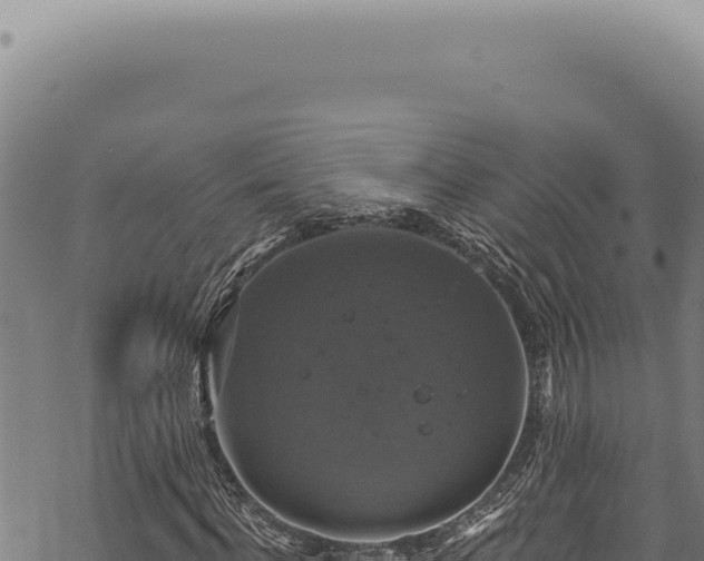 X0000068840916200605121403