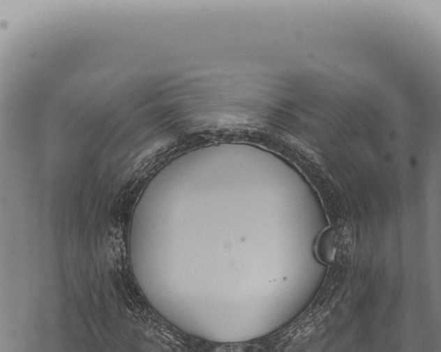 X0000068840918200605121403