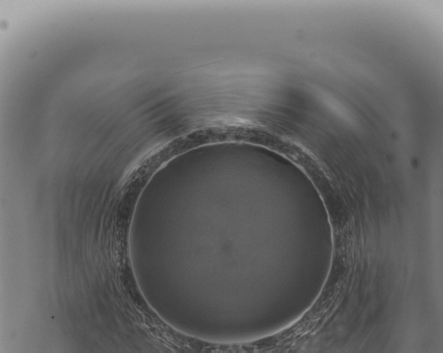 X0000068840919200605121403