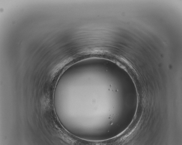 X0000068840922200605121403