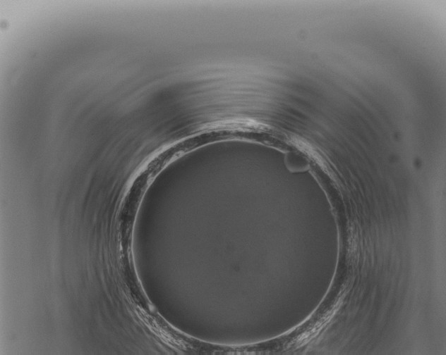 X0000068840923200605121403