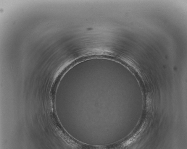 X0000068840925200605121403