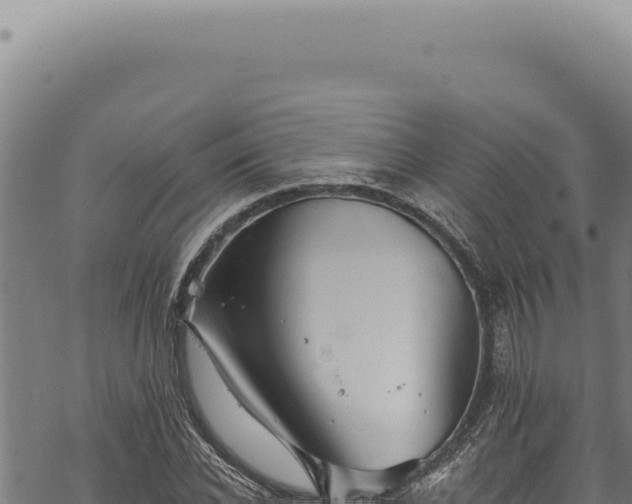 X0000068840926200605121403