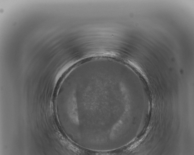 X0000068840928200605121403