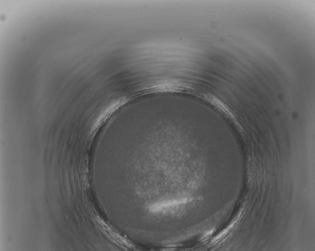 X0000068840930200605121403